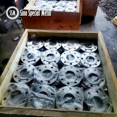 Norsok L005 ASME หน้าแปลน Hastelloy B2