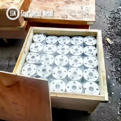 UNS N02200 JIS NW 2200 WNR 2.4066 หน้าแปลนปลอมแปลงนิกเกิล 200