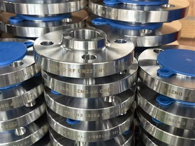 ดังนั้น RF DN25 PN16 F316L EN1092-1 หน้าแปลน